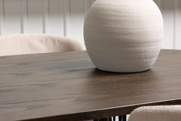 Stone Matbord 220x100x74 cm Oval med 4 Modesto Matstol - Möbler - Matplats - Matgrupp & matbord med stolar
