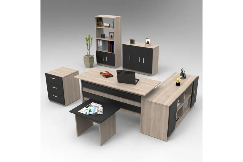 Kontorsmöbelset Raveena 17 Ek / svart, Ek / svart