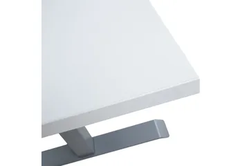 Ergosum 1 Skrivbord 160 cm Höj-och Sänkbar Elektrisk - Gråvit - Möbler - Hemmakontor - Skrivbord
