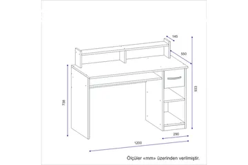 Yemisen Skrivbord 120 cm med Förvaring Låda + Hyllor - Antracit - Möbler - Hemmakontor - Skrivbord