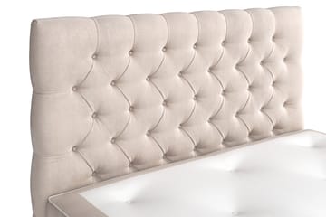 Celine Kontinentalsäng 120x200cm - Beige/Sammet - Möbler - Sovrum - Sängar - Kontinentalsängar