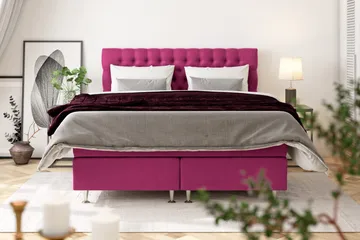 Celine Sängpaket 210x210cm - Rosa/Sammet - Möbler - Sovrum - Sängar - Kontinentalsängar