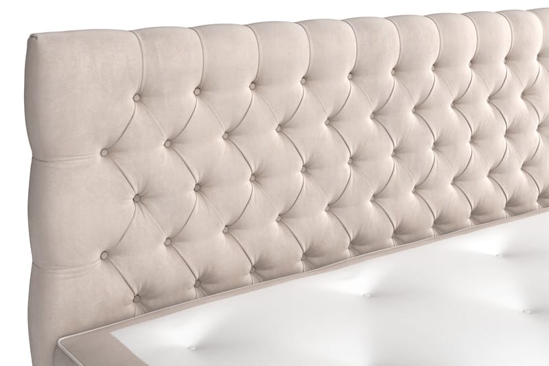 GRAND XL Sängpaket 160x200 cm + Madrasskydd - Beige / Sammet - Möbler - Sovrum - Sängar - Komplett Sängpaket