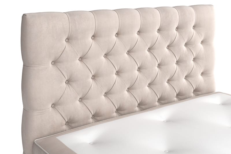 Celine Sängpaket 140x200cm - Beige / Sammet - Möbler - Sovrum - Sängar - Kontinentalsängar