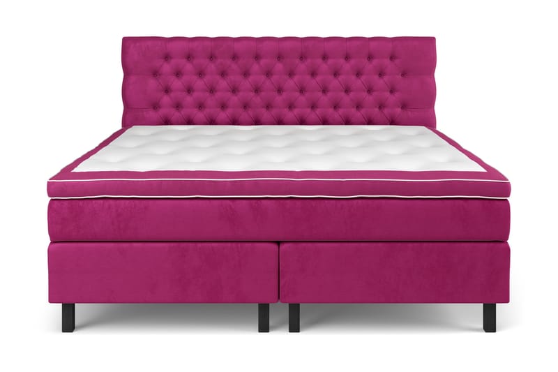 Celine Sängpaket 210x210cm - Rosa / Sammet - Möbler - Sovrum - Sängar - Kontinentalsängar