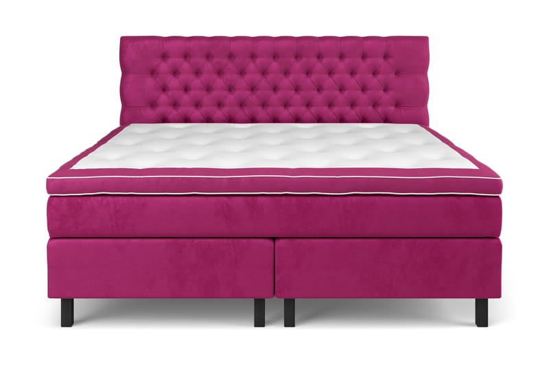 GRAND XL Sängpaket 210x210 cm Rosa Sammet - Möbler - Sovrum - Sängar - Kontinentalsängar