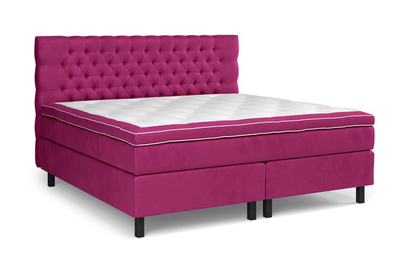 GRAND XL Sängpaket 210x210 cm Rosa Sammet - Möbler - Sovrum - Sängar - Kontinentalsängar