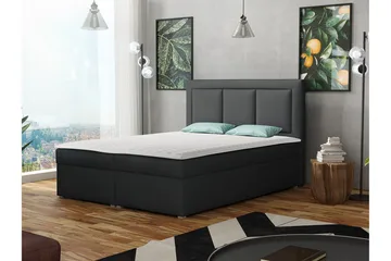 Moden Kontinentalsäng 180x215cm LED-belysning - Svart - Möbler - Sovrum - Sängar - Kontinentalsängar