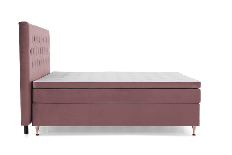 Royal Velvet Komplett Sängpaket 210x210 cm - Rosa med Låga Rosében - Möbler - Sovrum - Sängar - Kontinentalsängar