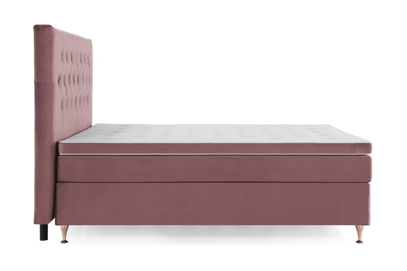 Royal Velvet Komplett Sängpaket 160x200 cm - Rosa med Låga Rosében - Möbler - Sovrum - Sängar - Komplett Sängpaket
