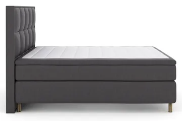 Kopparben - Mörkgrå