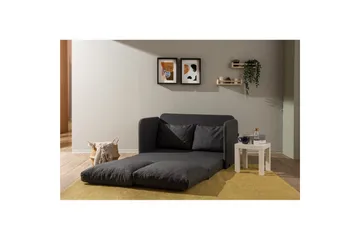 2-sits bäddsoffa Rubby (128 x 70 x 66 cm) Mörkgrå - Mörkgrå - Möbler - Vardagsrum - Bäddsoffor