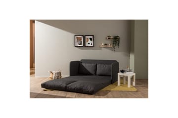 2-sits bäddsoffa Rubby (148 x 70 x 66 cm) Mörkgrå - Mörkgrå - Möbler - Vardagsrum - Bäddsoffor