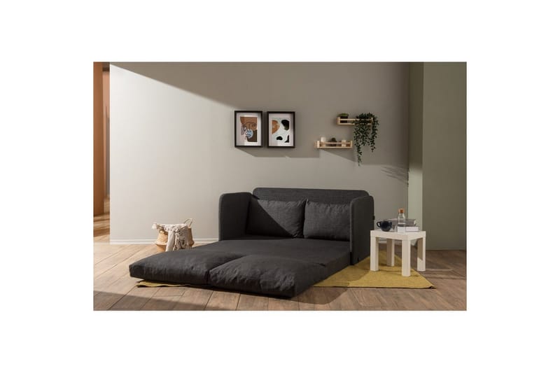 2-sits bäddsoffa Rubby (148 x 70 x 66 cm) Mörkgrå - Mörkgrå - Möbler - Vardagsrum - Bäddsoffor
