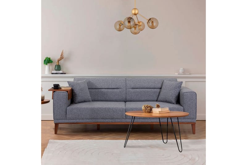 Casavilla Bäddsoffa 3-sits 223x94 cm Mörkgrå - Möbler - Vardagsrum - Bäddsoffor