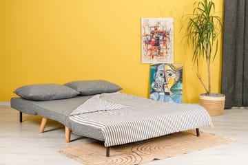 Daigo 2-sits Framåtbäddad Fällbar Bäddsoffa 120x180 cm i Tyg - Grå - Möbler - Vardagsrum - Bäddsoffor