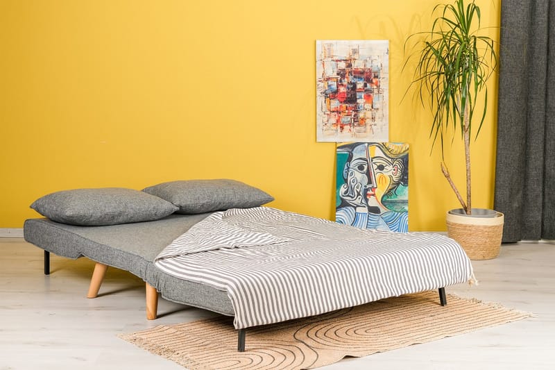Daigo 2-sits Framåtbäddad Fällbar Bäddsoffa 120x180 cm i Tyg - Grå - Möbler - Vardagsrum - Bäddsoffor