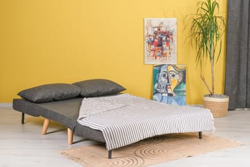Daigo Liten 2-sits Framåtbäddad Fällbar Bäddsoffa 120x180 cm i Tyg - Grå - Möbler - Vardagsrum - Bäddsoffor