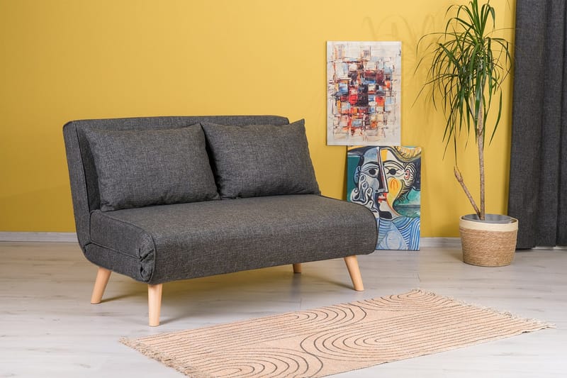 Daigo Liten 2-sits Framåtbäddad Fällbar Bäddsoffa 120x180 cm i Tyg - Grå - Möbler - Vardagsrum - Bäddsoffor
