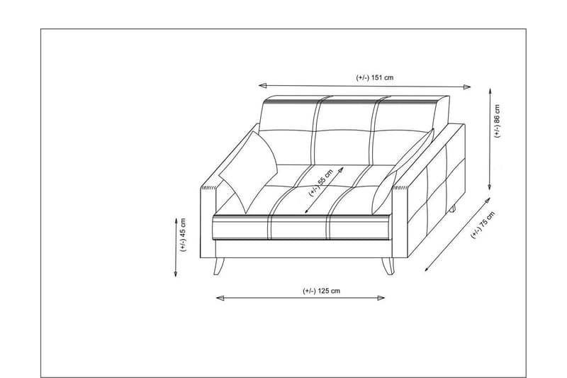 Darcia 2-sits Längsbäddad Bäddsoffa 55x125 cm med Förvaring i Tyg - Antracit - Möbler - Vardagsrum - Bäddsoffor