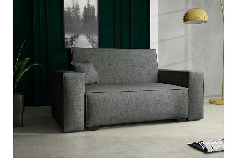 Denegal 2-sits liten bäddsoffa i Tyg - Grå - Möbler - Vardagsrum - Bäddsoffor