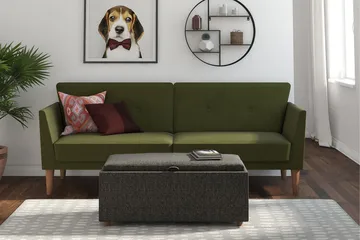 Regal 2-sits Bäddsoffa Grön - Novogratz - Möbler - Vardagsrum - Bäddsoffor - 2-sits bäddsoffa