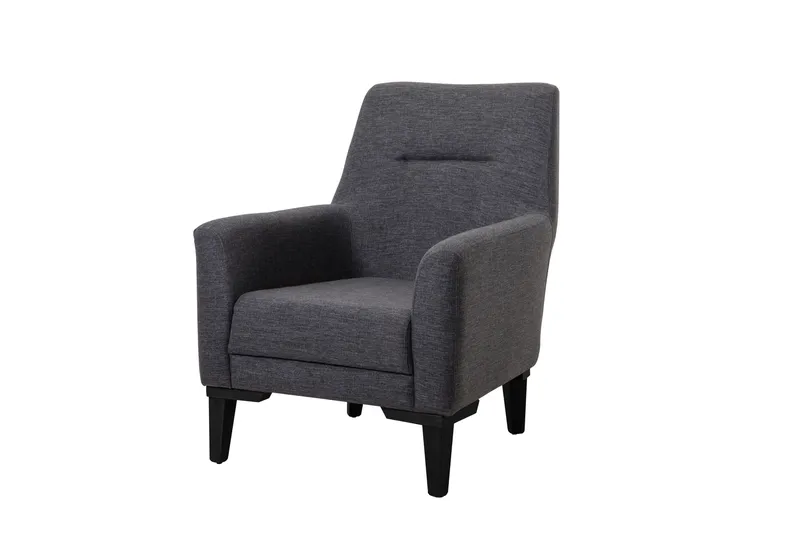 Wyong Fåtölj, Antracit