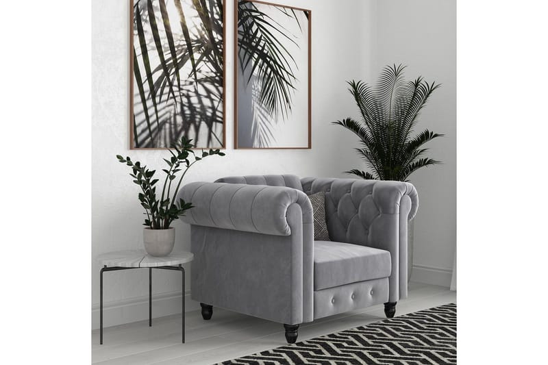 Fåtölj Felix Ljusgrå, Sammet/Trä/Metall - Ljusgrå, Sammet/Trä/Metall - Möbler - Vardagsrum - Fåtöljer