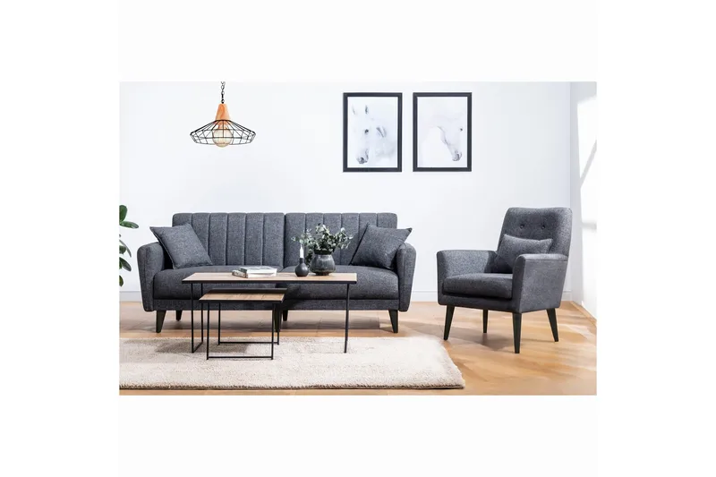 Arianda Soffgrupp, Antracit