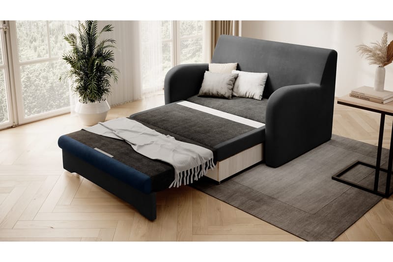 Ario Soffa 2-sits - Svart - Möbler - Vardagsrum - Bäddsoffor - 2-sits bäddsoffa