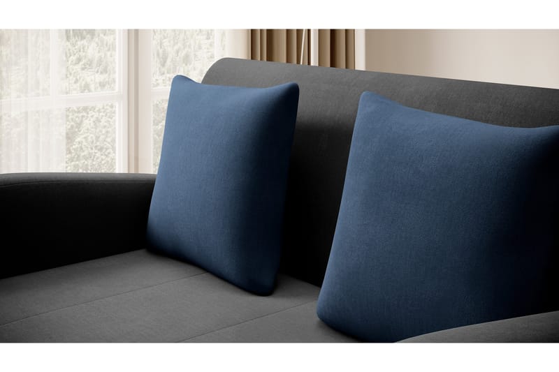 Ario Soffa 2-sits - Svart - Möbler - Vardagsrum - Bäddsoffor - 2-sits bäddsoffa