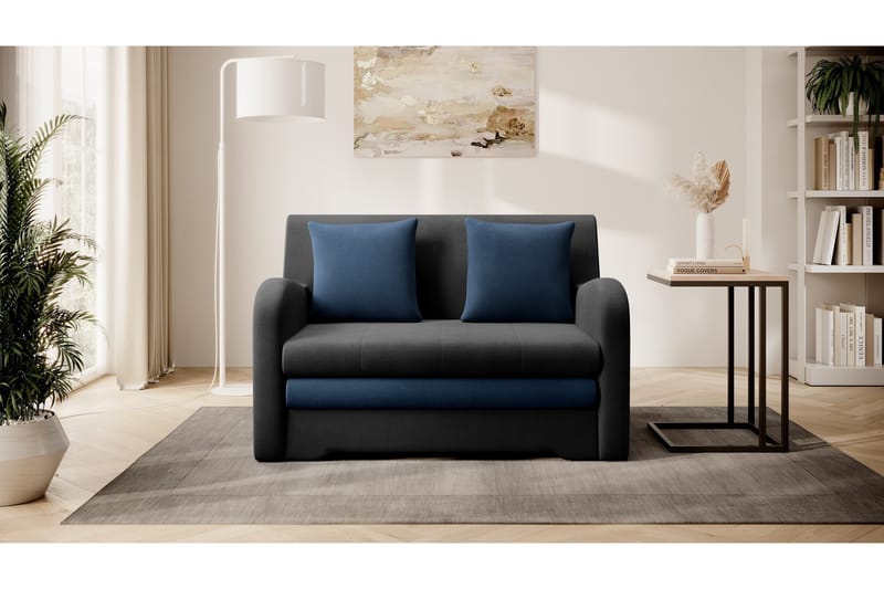 Ario Soffa 2-sits - Svart - Möbler - Vardagsrum - Bäddsoffor - 2-sits bäddsoffa
