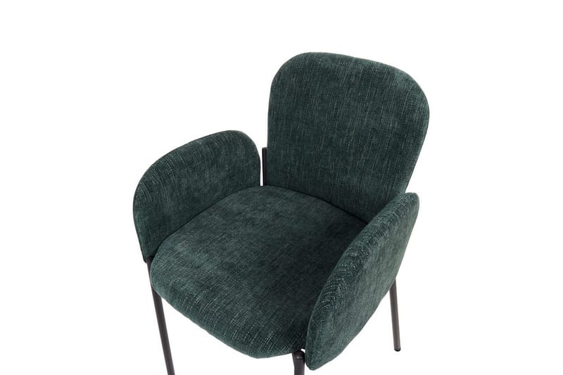 Set med 2 matstolar Albee - Grön, Svart - Möbler - Vardagsrum - Stolar & sittmöbler - Karmstolar