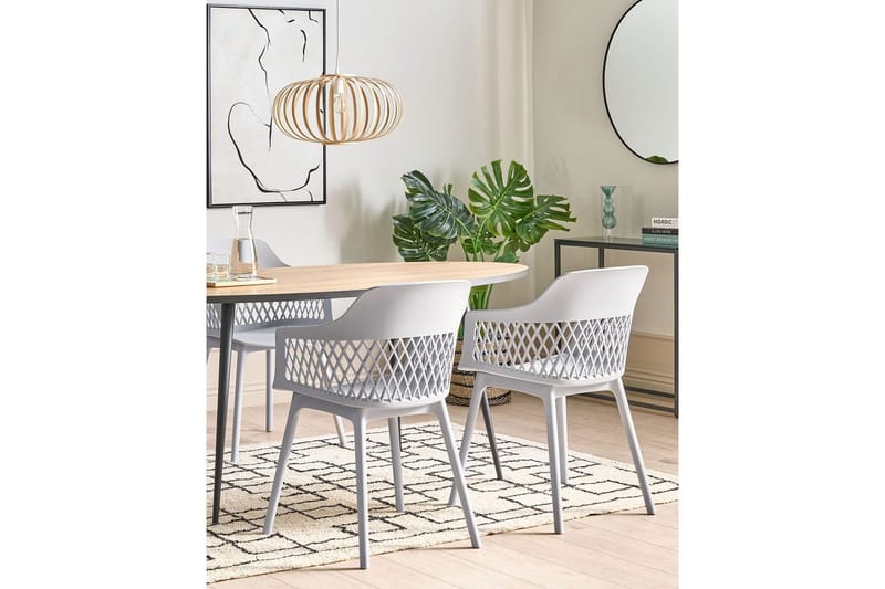 Set med 2 matstolar Almira - Grå - Möbler - Vardagsrum - Stolar & sittmöbler - Karmstolar