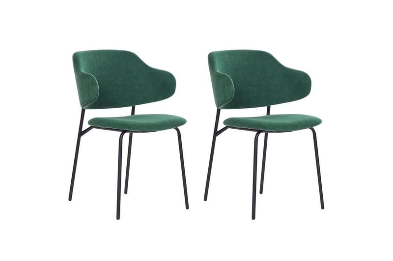 Set med 2 matstolar Kenai, Grön, Svart