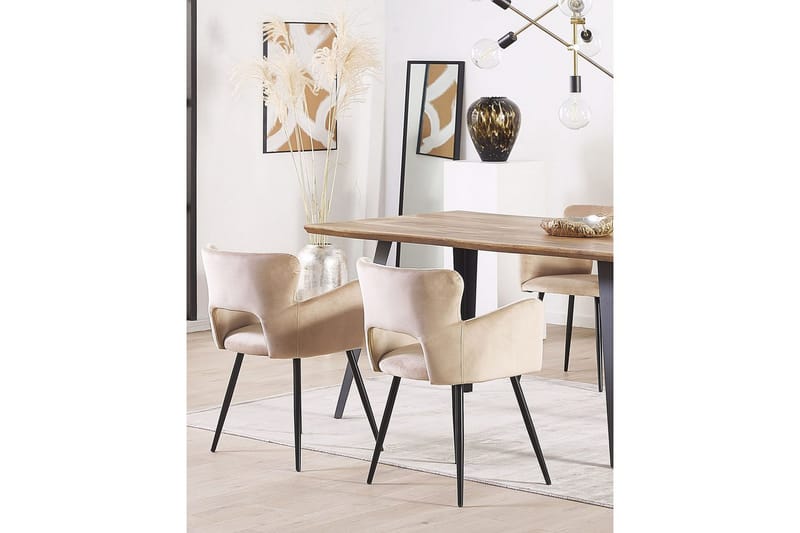 Set med 2 matstolar Sanilac - Beige, svart, Taupe - Möbler - Vardagsrum - Stolar & sittmöbler - Karmstolar