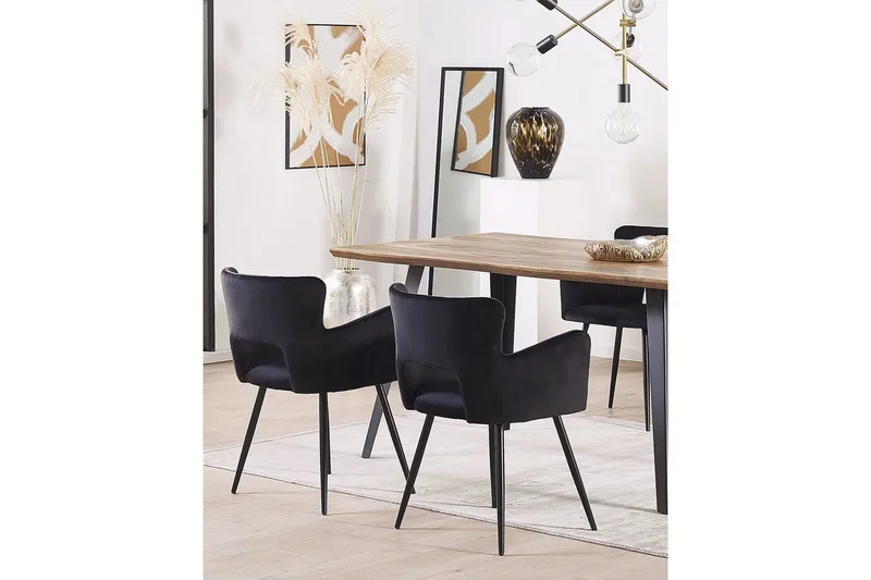 Set med 2 matstolar Sanilac - Svart - Möbler - Vardagsrum - Stolar & sittmöbler - Karmstolar