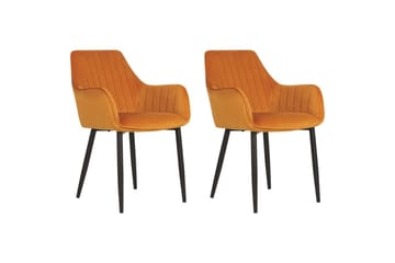 Set med 2 matstolar Wellston