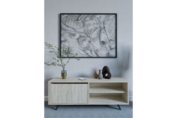 Hazle Golvstående Tv Bänk 120 cm med Förvaring i Trä - Beige - Möbler - Vardagsrum - Tv-möbler & mediamöbler - Tv-bänkar