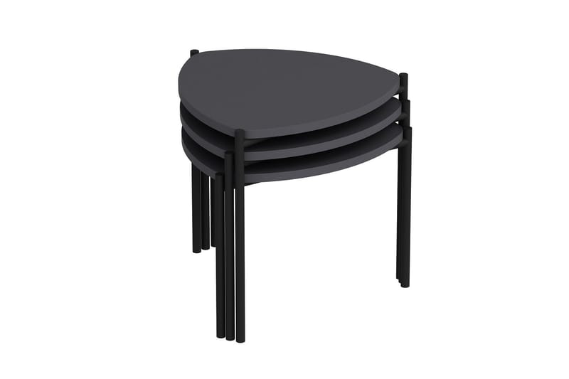 Lenny Satsbord, Antracit