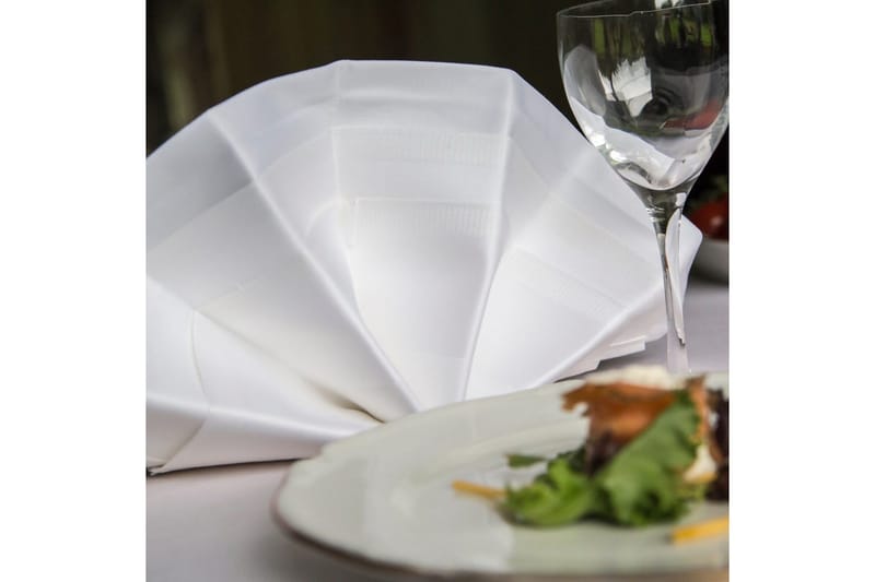 Servett Fritz Magnus Trading Delight 50 x 50 cm Vit - Textilier & mattor - Kökstextilier