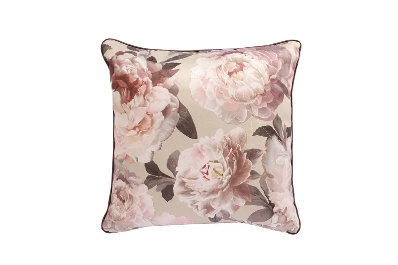 Holly Kudde Rosa pioner, Rosa