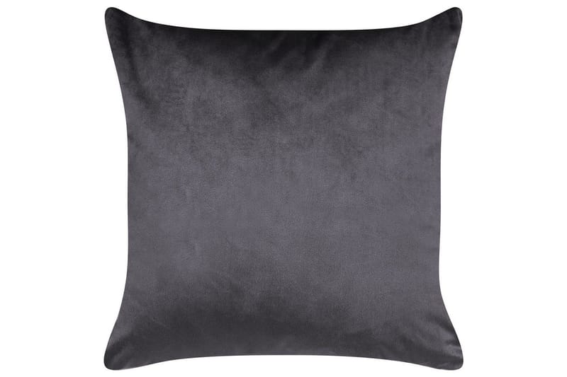 Prydnadskuddar Alyssum set om 2 Grå/guld, Sammet - Grå/guld, Sammet - Textilier & mattor - Kuddar & plädar - Utomhuskudde