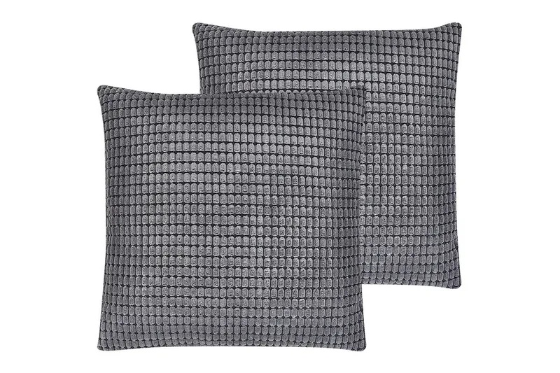 Prydnadskuddar Aspidistra set om 2