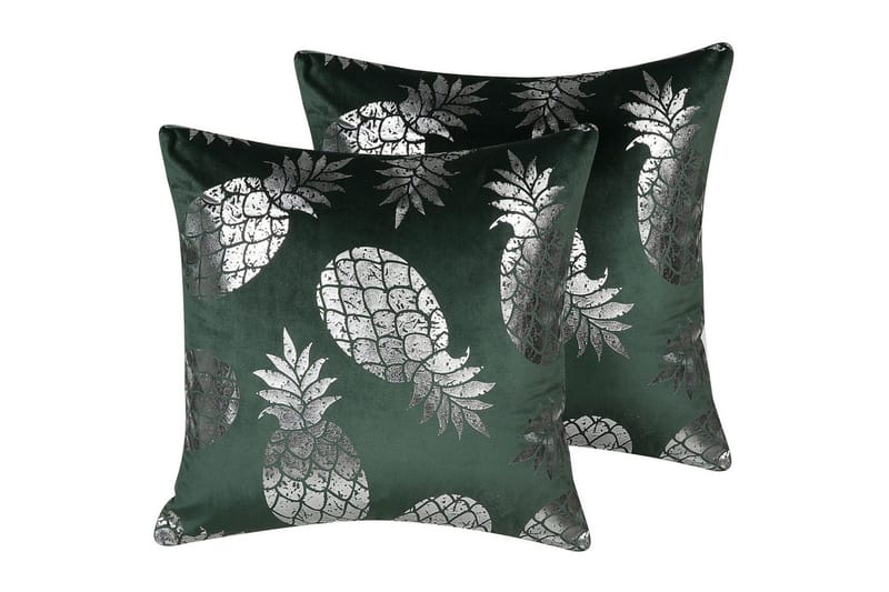 Prydnadskuddar Astilbe set om 2