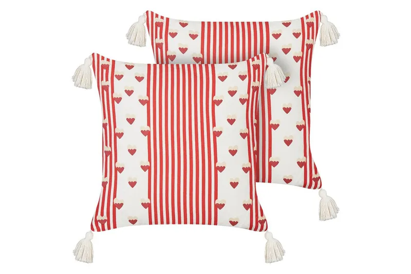 Prydnadskuddar Banksia set om 2