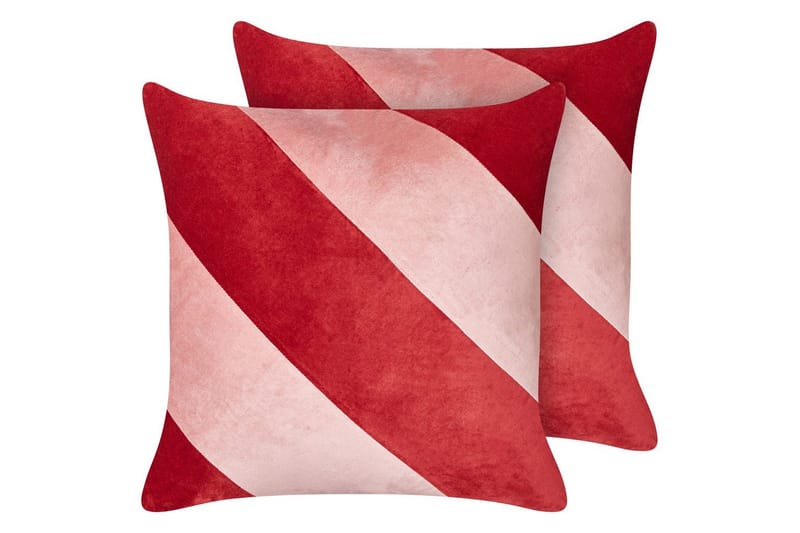 Prydnadskuddar Boronia set om 2