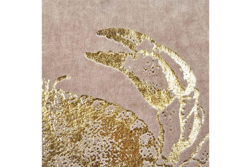 Prydnadskuddar Bossiella set om 2 Beige/guld - Beige/guld - Textilier & mattor - Kuddar & plädar - Utomhuskudde