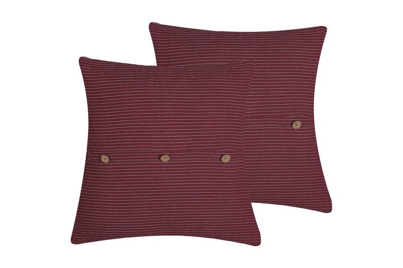 Prydnadskuddar Campanula set om 2