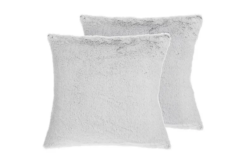 Prydnadskuddar Clematis set om 2